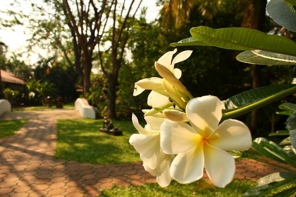Secret Garden Chiangmai Hotel San Kamphaeng Buitenkant foto
