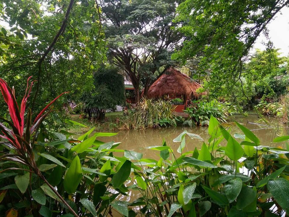 Secret Garden Chiangmai Hotel San Kamphaeng Buitenkant foto